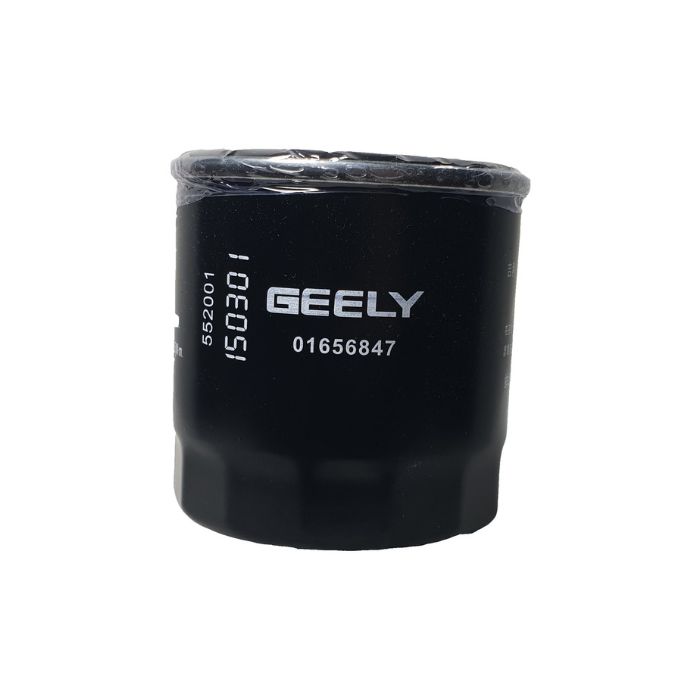 1016056847/فلتر زيت كولراي إميجراند