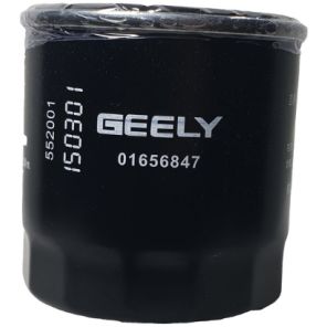 1016056847/فلتر زيت كولراي إميجراند