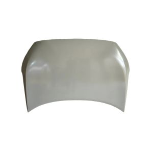 كبوت شيري تيجو 2 اصلي_553000160AADYJ