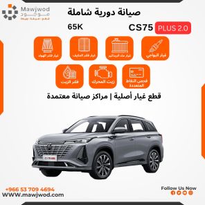 SPM-CHN-CS75p-65K-2.0