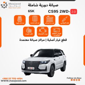 SPM-CHN-CS952WD-65K-2.0