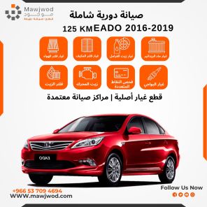 SPM-CHN-EADO2016-2019-125k-1.6